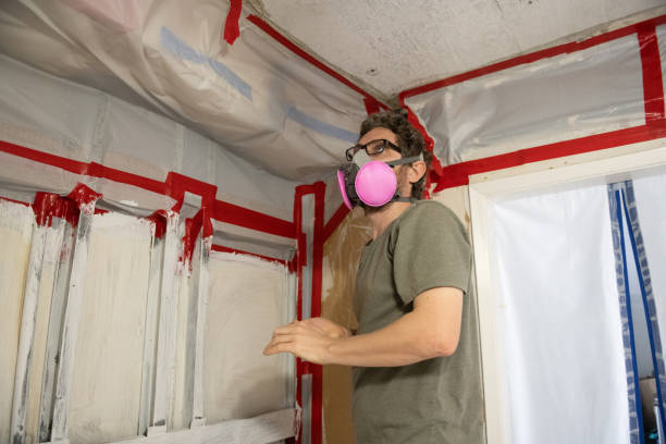 Best Mold Remediation for Healthcare Facilities  in Seymour, TX